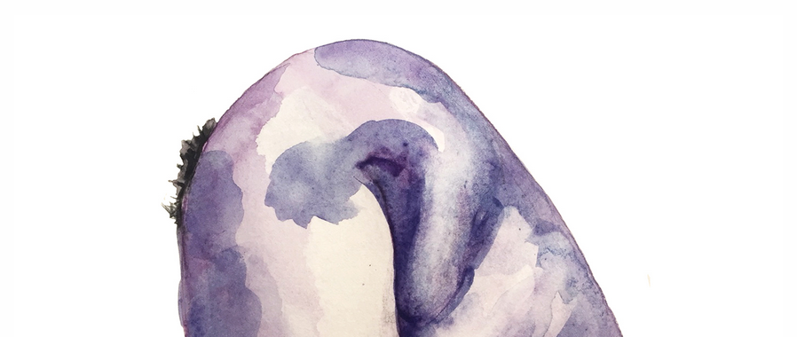 Einführungskurs Sexological Bodywork - im Kurzformat für Ausbildungsinteressierte - Institut für Somatische Bildung, Sexualität und Körperarbeit Berlin